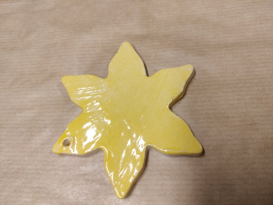 Gul , is blå stjerne eller stjerne med frost 🌟